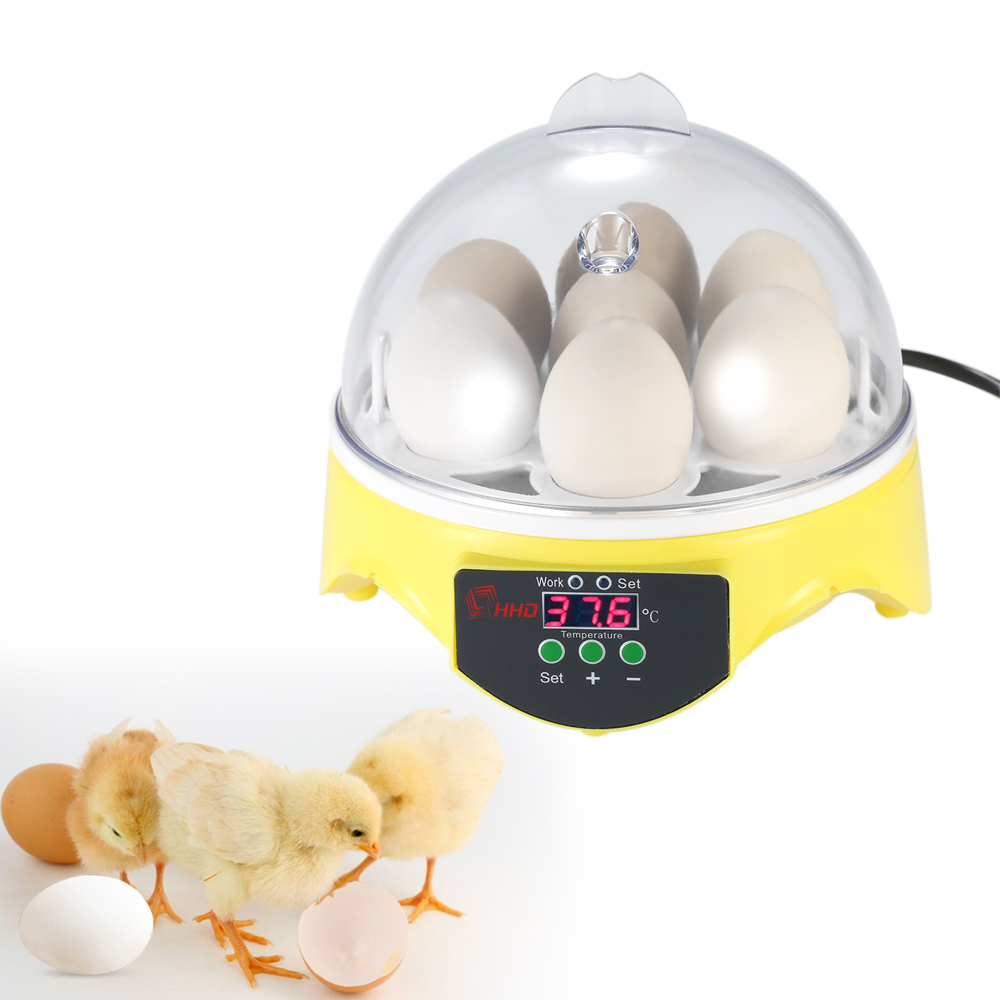 Funcionamiento Mini Incubadora de 7 Huevos / 7 Eggs Incubator Alamazonas