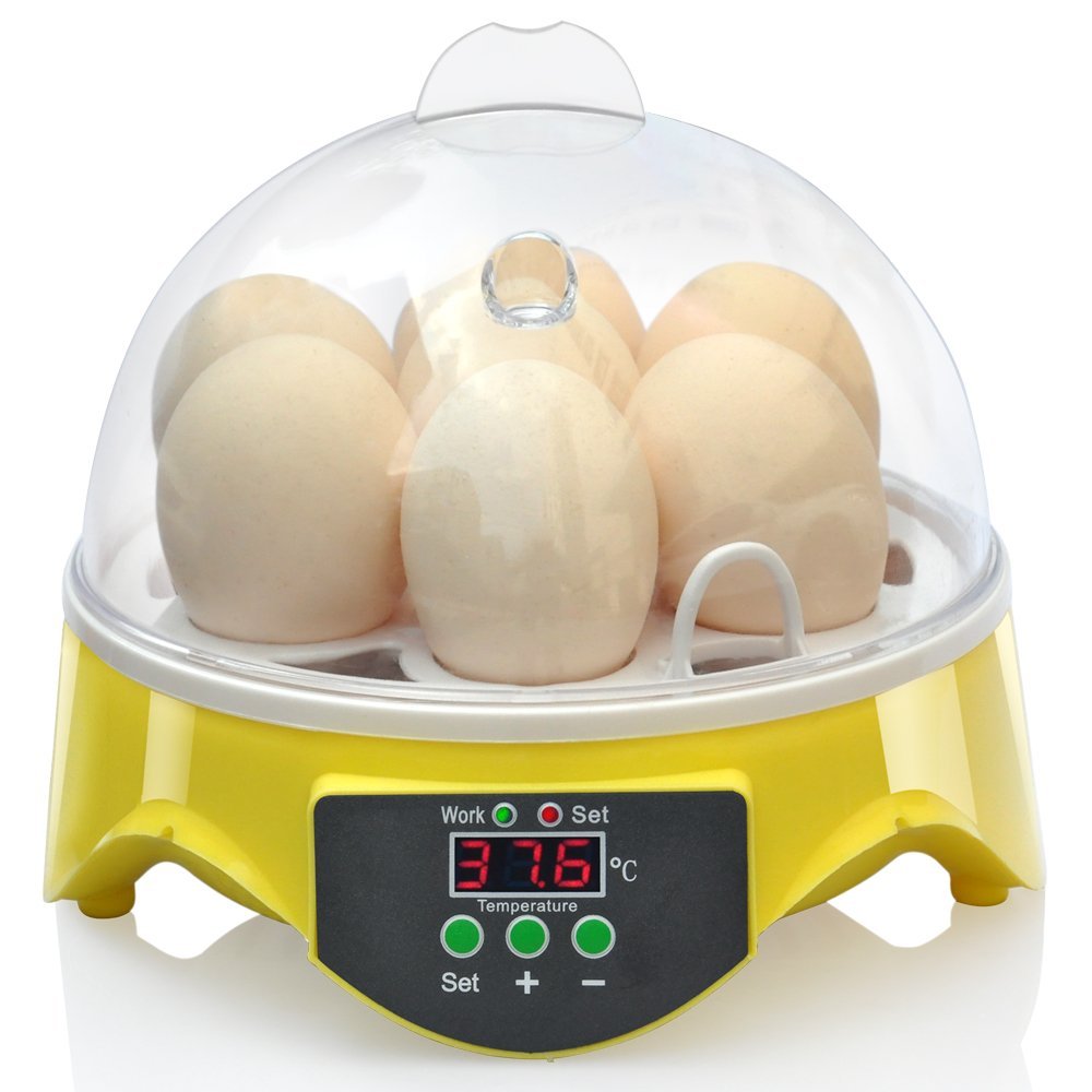 Yolispa Incubadora de 4 Huevos Incubadora de Huevos Control de Temperatura Digital Pollo Pollito Pato Incubadora