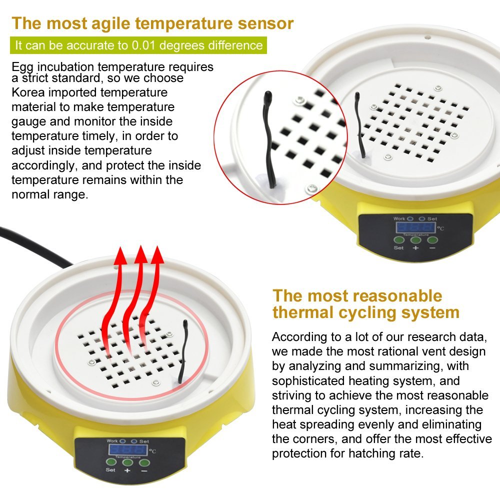 Yolispa Incubadora de 4 Huevos Incubadora de Huevos Control de Temperatura Digital Pollo Pollito Pato Incubadora