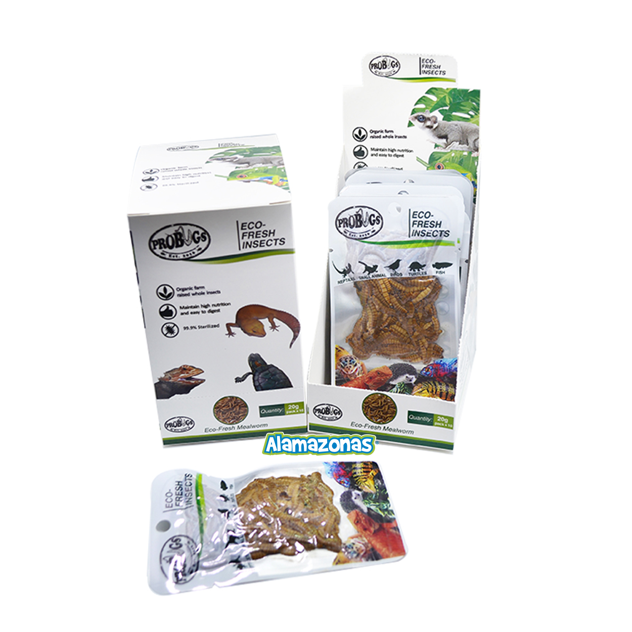 Kit 10 Tenebrio Molitor Gusanos Alimento Fresco Alas Meal Worm  Probugs Eco-Fresh Insects - Alas® - Envío Gratis desde $999 MXN‎