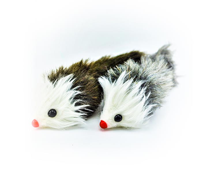 Huron de peluche sales