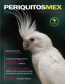 Revista 2020 PeriquitosMex 2.0 Alamazonas